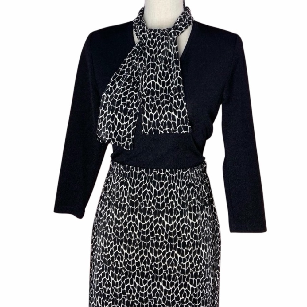 Giraffe Print Two Piece Skirt and Top